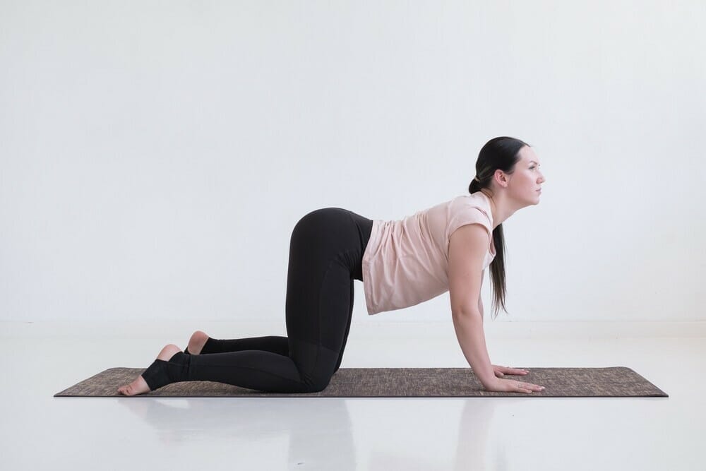 What are the benefits of cow pose?