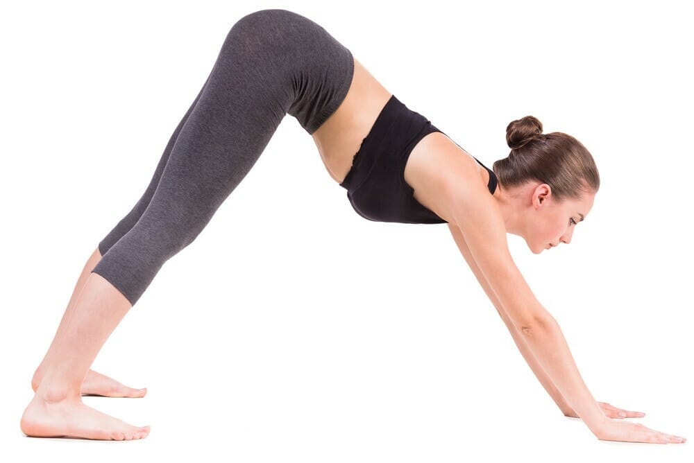 What is the correct position for downward dog?
