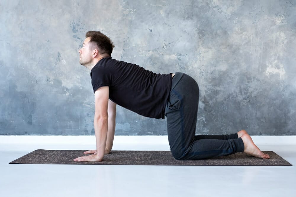 What are the benefits of cat pose?
