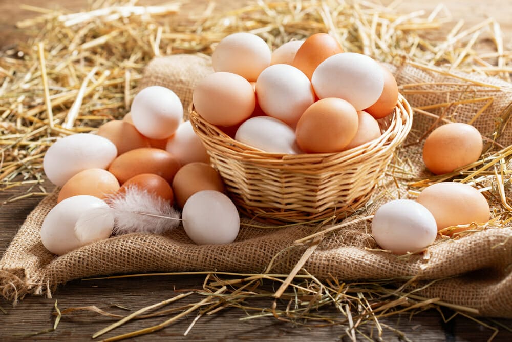 What are the benefits of eating eggs?