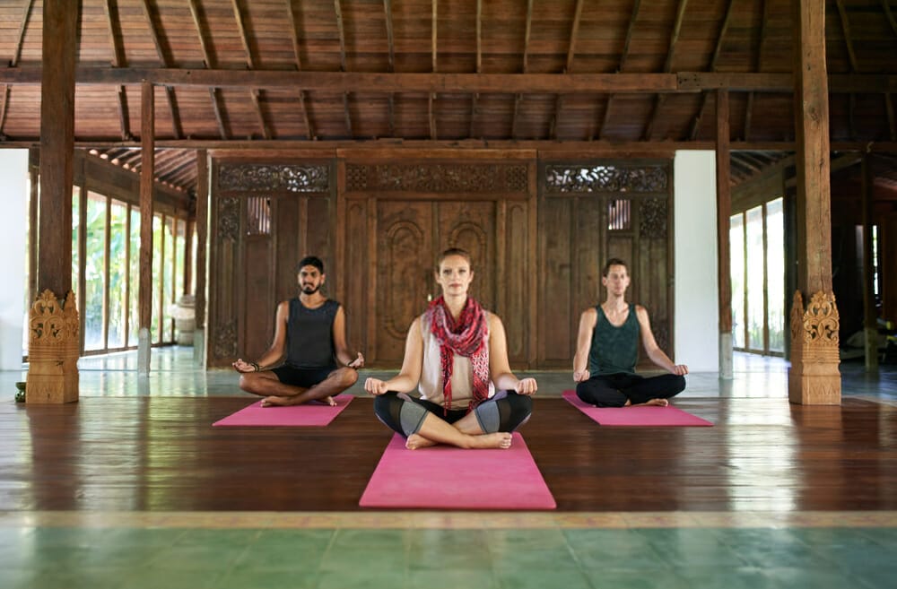 What are the main characteristics of Hatha Yoga?
